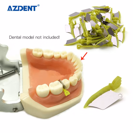 Dental Material Plastic Wedges with Hole